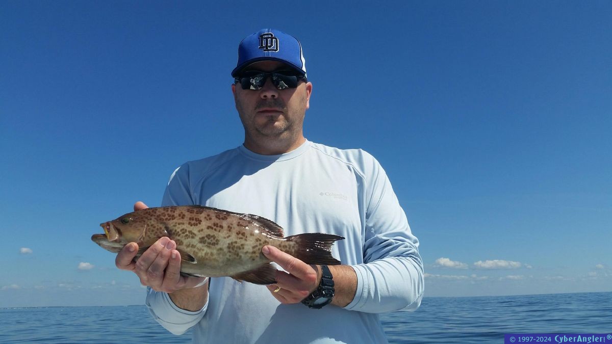 Click to Enlarge Photo