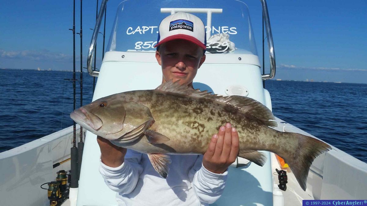 Click to Enlarge Photo