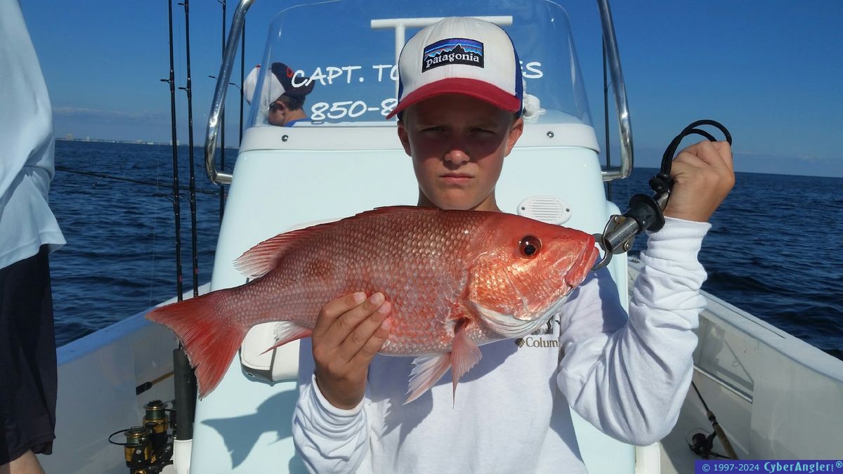 Click to Enlarge Photo