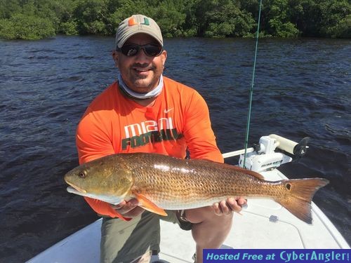 Click to Enlarge Photo