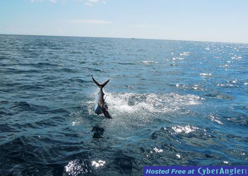 Click to Enlarge Photo