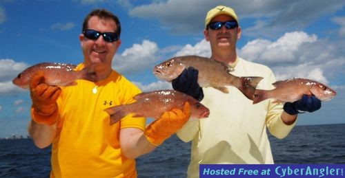 Click to Enlarge Photo