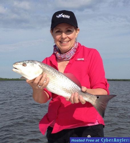 Click to Enlarge Photo