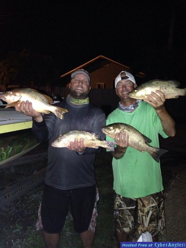 Click to Enlarge Photo