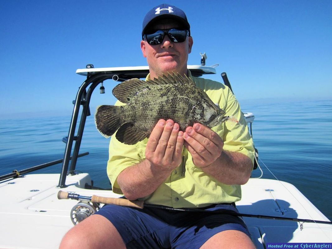 Click to Enlarge Photo