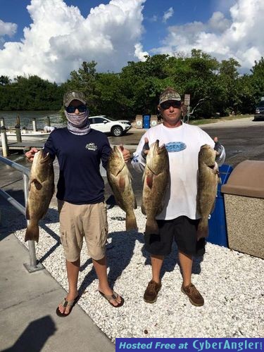 Click to Enlarge Photo