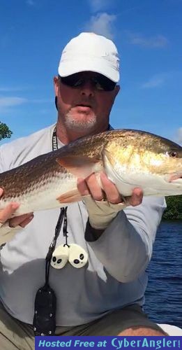 Click to Enlarge Photo