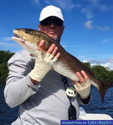 Click to Enlarge Photo