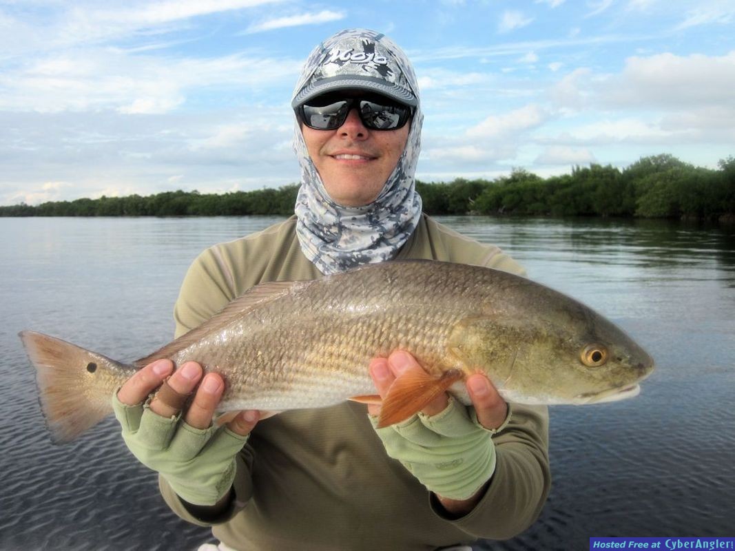 Click to Enlarge Photo