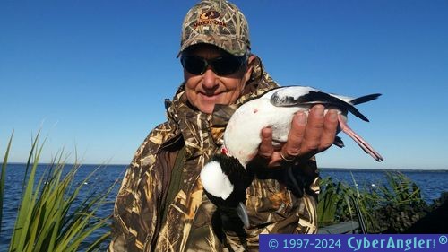 Click to Enlarge Photo