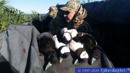 Click to Enlarge Photo