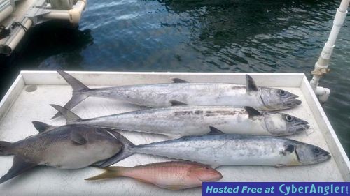 Click to Enlarge Photo