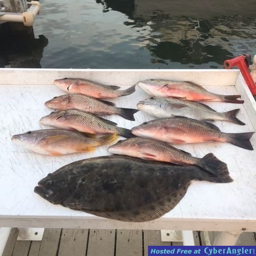 Click to Enlarge Photo