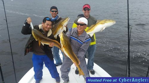 Click to Enlarge Photo