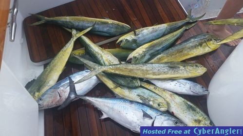 Click to Enlarge Photo