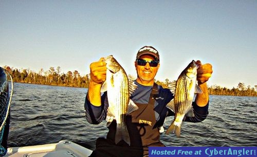 Click to Enlarge Photo