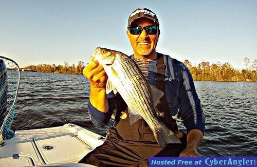 Click to Enlarge Photo