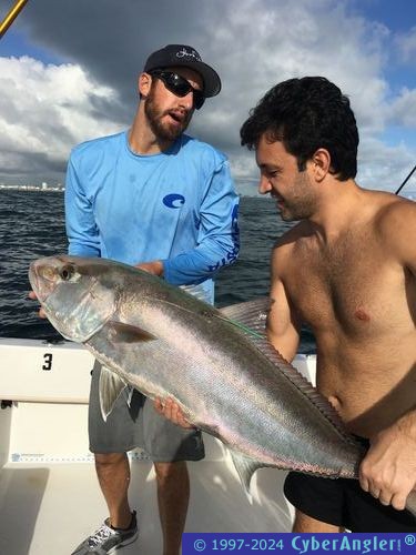 Click to Enlarge Photo