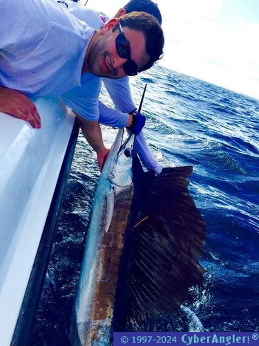 Click to Enlarge Photo