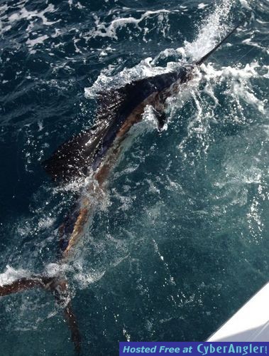 Click to Enlarge Photo