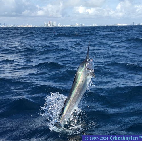 Click to Enlarge Photo