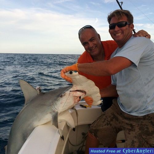 Click to Enlarge Photo