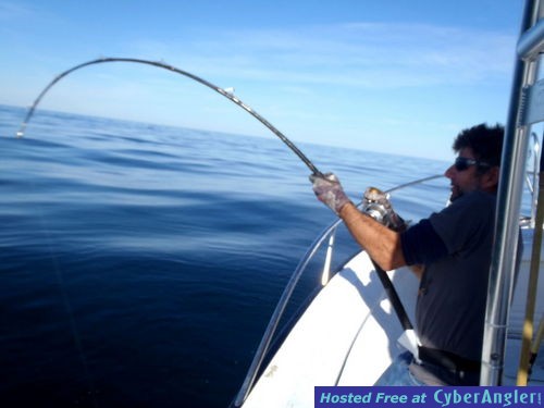 Click to Enlarge Photo