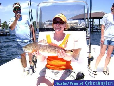 Click to Enlarge Photo