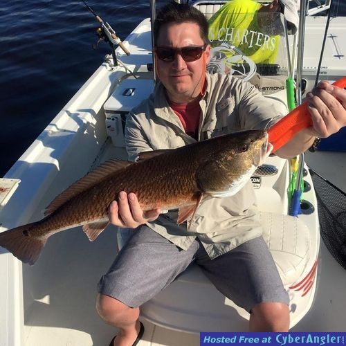 Click to Enlarge Photo