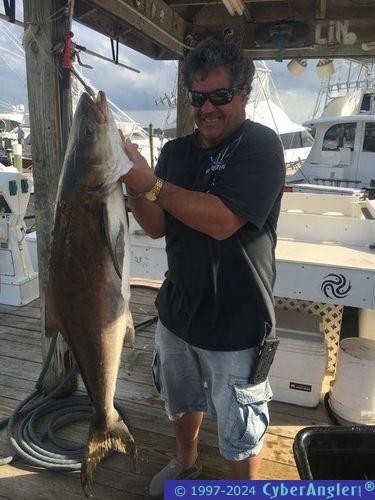 Click to Enlarge Photo