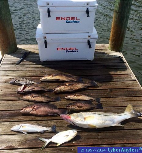 Click to Enlarge Photo