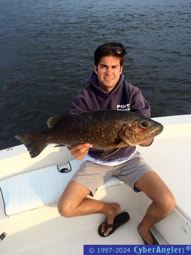 Click to Enlarge Photo