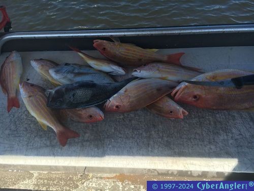 Click to Enlarge Photo