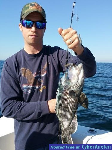 Click to Enlarge Photo