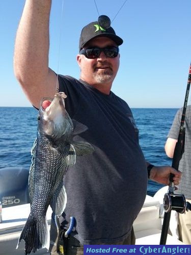 Click to Enlarge Photo