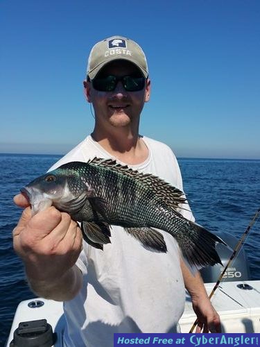 Click to Enlarge Photo