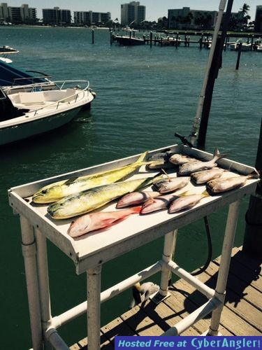 Click to Enlarge Photo