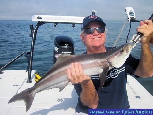 Click to Enlarge Photo