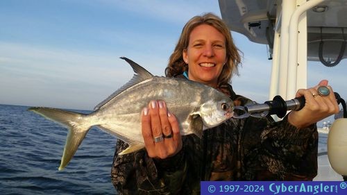 Click to Enlarge Photo