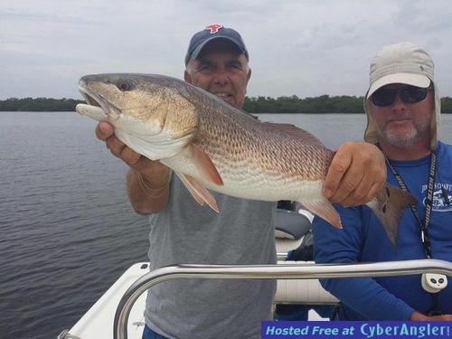 Click to Enlarge Photo