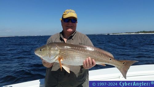 Click to Enlarge Photo