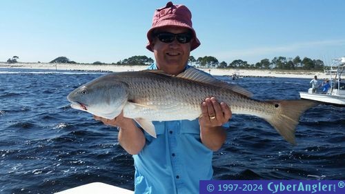 Click to Enlarge Photo