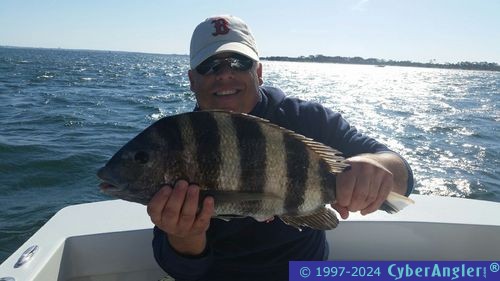 Click to Enlarge Photo