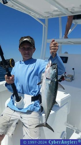 Click to Enlarge Photo