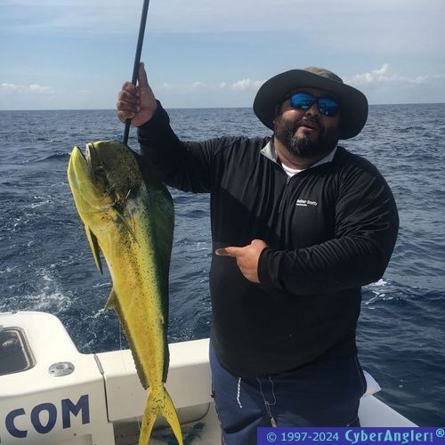 Click to Enlarge Photo