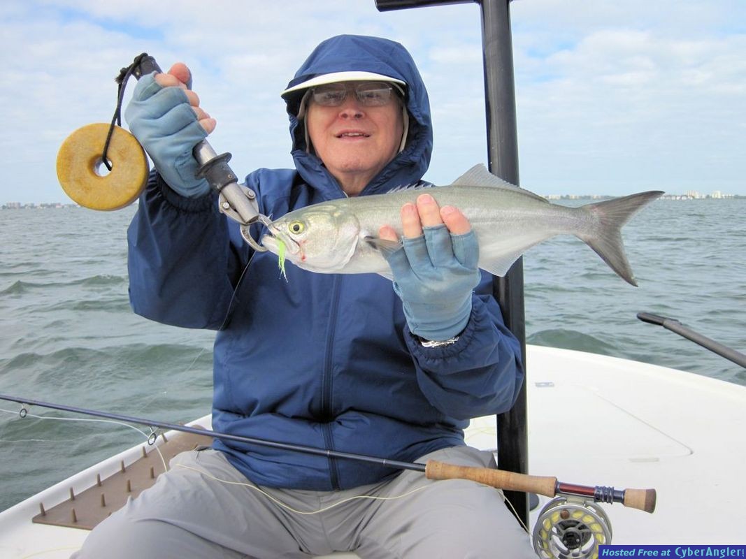 Click to Enlarge Photo