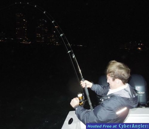 Click to Enlarge Photo