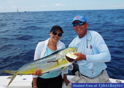 Click to Enlarge Photo