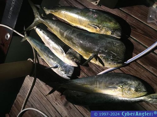 Click to Enlarge Photo