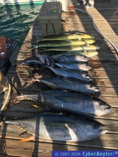 Click to Enlarge Photo